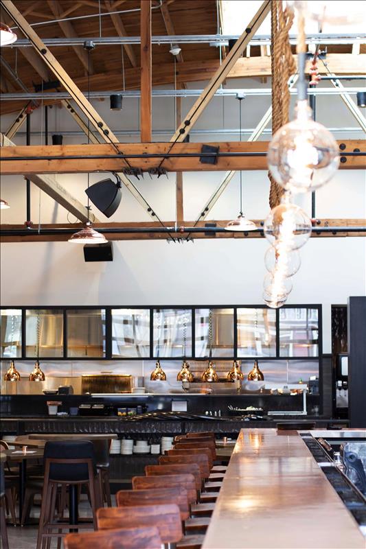 Lock & Mule by Tangled Roots Brewing Company Lockport, IL